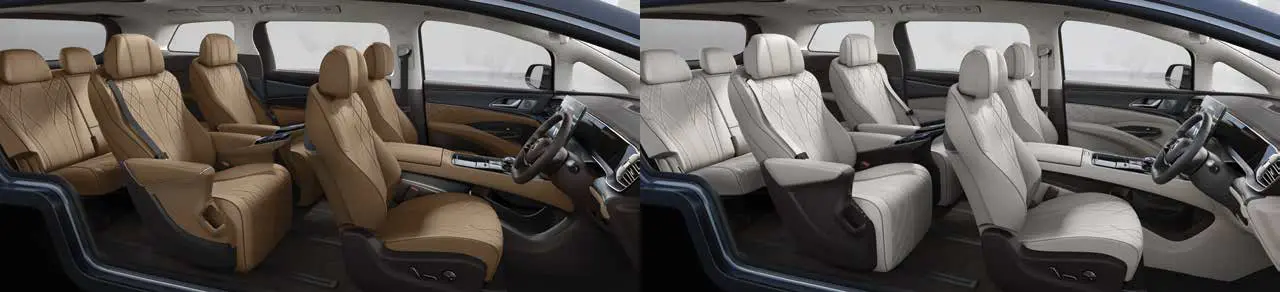 2024-denza-d9-interior-trim-car-back-catalogue-1