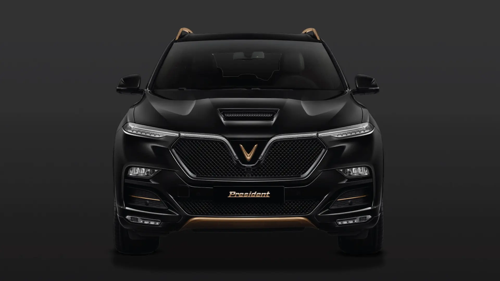 2020-vinfast-president-copper-car-back-catalogue-1